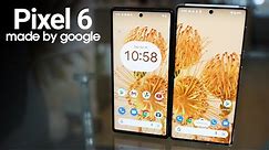 Pixel 6 And Pixel 6 Pro - In Depth Review
