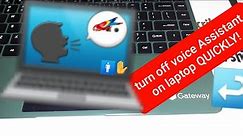 How to turn off voice Narrator, TalkBack, Screen reader on Gateway laptop windows 11 | laptop talks