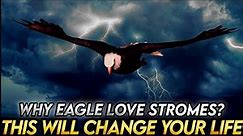 The Dream of an Eagle | Motivational Video | Eagle Wisdom