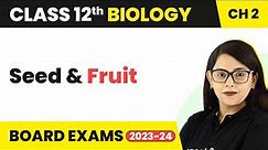 Class 12 Biology Chapter 2 | Seed & Fruit- Sexual Reproduction in Flowering Plants CBSE/NEET 2022-23