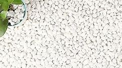 18-lb Bulk Bag White Pebbles 1/2" Size Aquarium Gravel Outdoor Garden Paving Plant Decorative Stones…