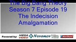 The Big Bang Theory Season 7 Episode 19 – The Indecision Amalgam