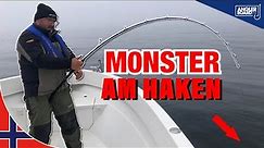 Monster am Haken | Angeln in Norwegen auf Heilbutt | XXL-Fisch an der Rute | Anglerboard TV
