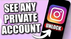 How to View PRIVATE Account on Instagram (2024)