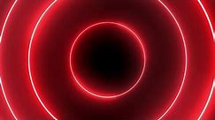 4k Red Neon Circle Lights Background - Motion 4k Screensaver