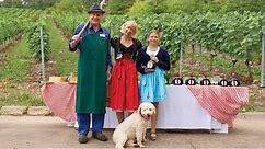 Cultural Connection: German Village Life Experience: A Day in Marktheidenfeld