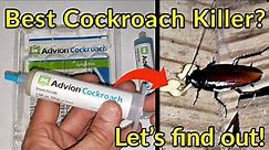 Does Advion Cockroach Gel Work? Let's see the proof! | Syngenta 383920 Gel Bait Roach Killer
