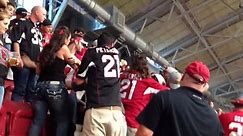 Brawl breaks out in stands during Cardinals-49ers game