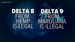 Delta 8 vs. Delta 9 THC
