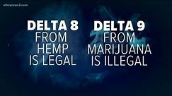 Delta 8 vs. Delta 9 THC
