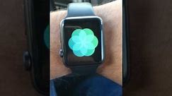 Breathe App on Apple Watch