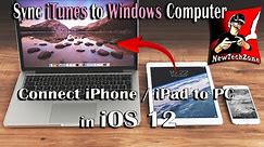 Connect iPhone to PC in iOS 12 | Sync iTunes to Windows Computer