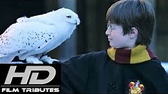 Harry Potter • Main Theme • John Williams