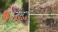 5 Bowhunting Whitetail Deer Hunts at 20 Yards | Monster Buck Moments Presented by Sportsman's Guide