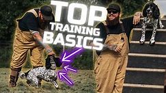 5 Dog Training Basics You Need For You And Your Dog