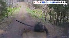 Japan has had so many bear attacks in the past year it’s turning to AI to act as a warning system