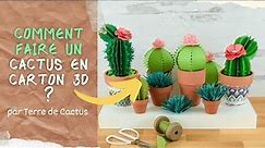 Comment faire un Cactus en Carton 3D