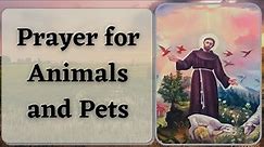 Prayer for Animals and Pets | St. Francis of Assisi Prayer - Goodwill Prayers