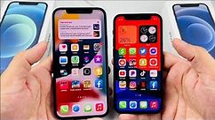 iPhone 12 vs iPhone 12 Mini Top Differences!