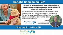 Robotic Companion Pets