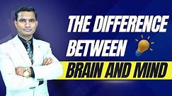 WHAT IS THE DIFFERENCE BETWEEN BRAIN AND MIND?