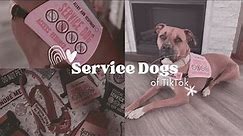 Service Dogs of TikTok!