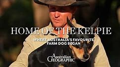 The Home of the Kelpie – Where Australia's Favourite Farm Dog Began