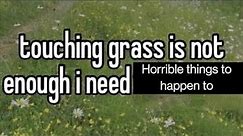 touching grass is not enough