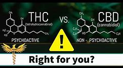 CBD vs THC... A Doctor's take | CBD is a safe alternative for pain, anxiety, and sleep