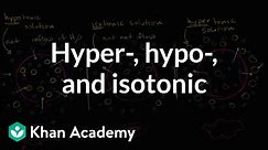 Hypotonic, isotonic, and hypertonic solutions (tonicity) | Khan Academy