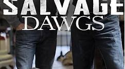 Salvage Dawgs: Beechcraft Airplane Salvage