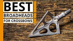 Top 7 Best Broadheads for Crossbows