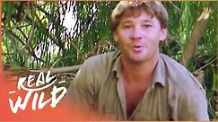 Steve Irwin Catches A Crocodile In Epic Battle | Real Wild