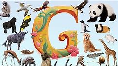 Discover the World of 'G' Animals abc | 22 Animals that Start with G | Master Animals Vocabulary