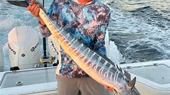 Wahoo it’s Wednesday! We are half way to the weekend! #wahoo #fish #fishing🎣 #fishinglife #fishingtrip #fishingaddict #fisherman #trolling #offshorefishing #wahoofishing #fishingdaily #instagram #reels #sebastian #florida #floridafishing @frontrunnerboats @fish_shimano_north_america @mercurymarine | Reel Natives Sportfishing