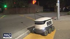 Pleasanton becomes second U.S. city to use robots to deliver groceries