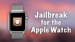Jailbreak for the Apple Watch? Yalu102 Possible Port? How Will it Work? (In depth explanation)