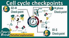 Cell cycle checkpoints | DNA damage checkpoint | spindle assembly checkpoint | Cell biology