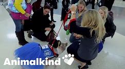 A group of therapy animals soothe stressed travelers | Humankind #goodnews