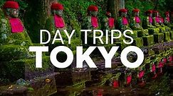 Best Day Trips From Tokyo | Must See Places Near Tokyo