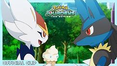 Casteliacones all round! | Pokémon Journeys: The Series | Official Clip