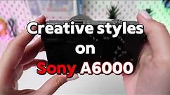 Sony A6000: Creative Styles & Picture Effects Unleashed