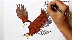 How To Draw An Eagle | How to draw a Eagle easy step by step