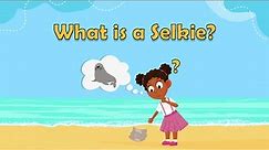 Selkies - What is a Selkie? - Magical creatures for kids - mythical creatures for kids - Fun facts