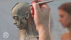 Live demo – anatomy female Andrew Cawrse - ecorche sculpture