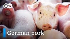 The booming meat industry - Germany the world's second biggest pork exporter | DW English