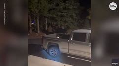 Moose fight it out in driveway as family watches one moose fly into back of pickup truck