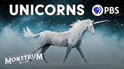 Unicorns: Magical Icons or Violent Beasts? | Monstrum