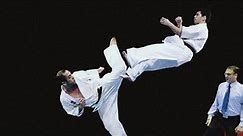 Unbelievable Karate Knockouts | Professionals vs Beginners