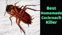 Homemade cockroach killer, Goodbye to cockroaches with this homemade trick, Get Rid Of Cockroaches